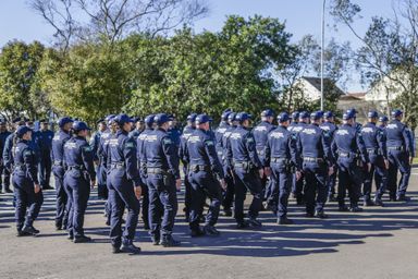 Segue para sanção governamental proposta para fortalecer guardas municipais no Paraná