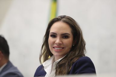 Assembleia aprova projeto de lei que estimula comércio de móveis, itens e roupas antigas ou de segunda mão