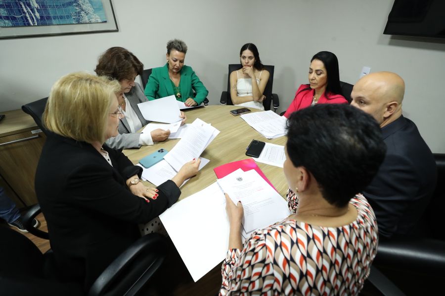 Comissão da Mulher 0411