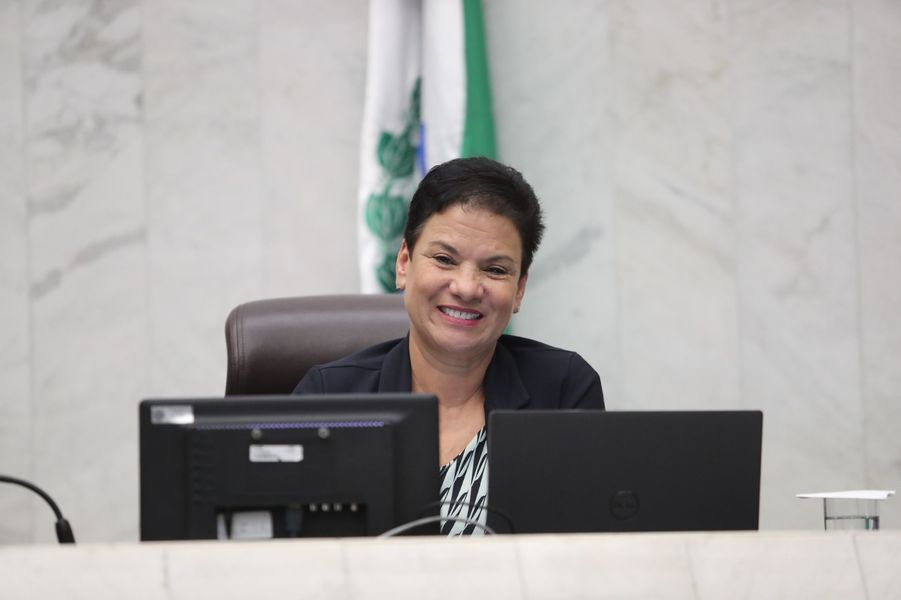 marli paulino artesanato