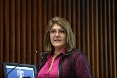 Situação dos alunos matriculados na Educação Infantil e Ensino Fundamental de Curitiba é abordada na Assembleia
