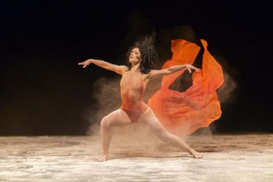 Assembleia celebra o aniversário de 50 anos do Balé Teatro Guaíra