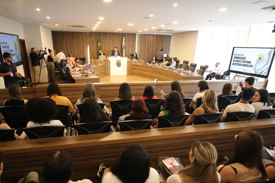 aud pub violência obstétrica