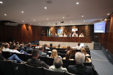 Audiência alerta para aumento de mortes e doenças relacionadas às mudanças climáticas