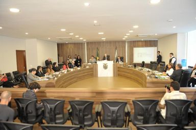 Frente de Mobilização Nacional Pró-Criança e Adolescente realiza reunião na Assembleia do Paraná
