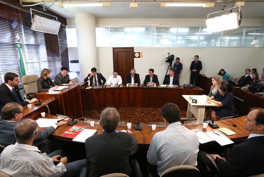 Setor Avícola - reunião conjunta