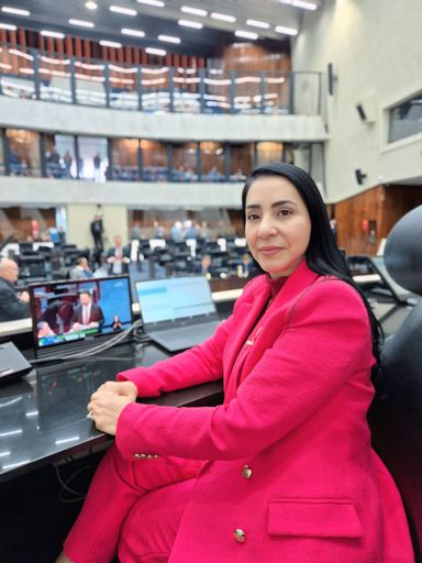 Comissão de Defesa dos Direitos da Mulher consolida avanços legislativos e audiências públicas em 2025