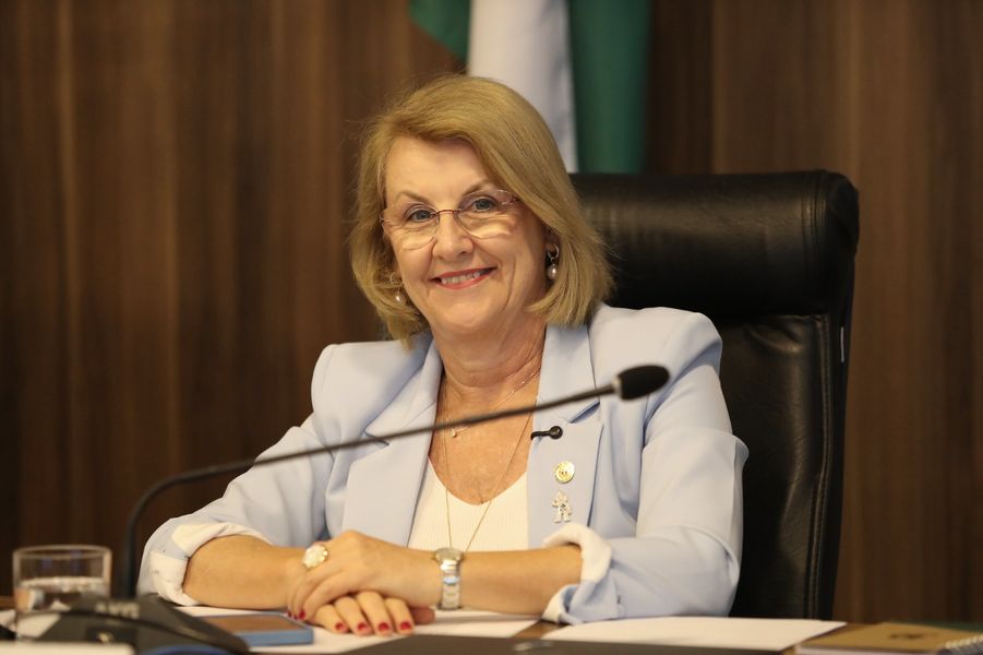 marcia audpub sesa