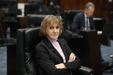 Emendas apresentadas pela deputada Luciana Rafagnin (PT) visam democratizar o Programa Estadual de Segurança Hídrica