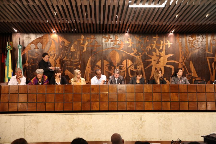 Audiência pública da Comissão de Direitos Humanos