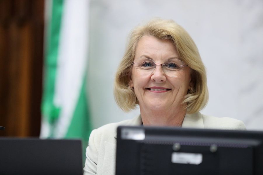 marcia PL processos