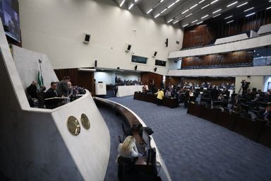 Deputados solicitam inclusão do tratamento de lipedema nos planos de saúde e no SUS