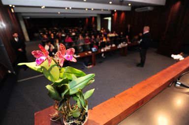 O curioso universo das orquídeas é apresentado durante curso na Assembleia Legislativa