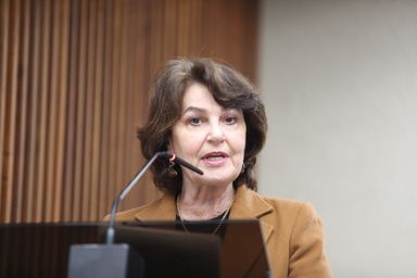 Deputada Cristina Silvestri (PP) propõe destinação de madeira de obras rodoviárias para reconstrução de áreas atingidas por desastres
