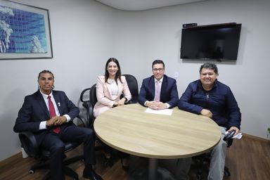 Frente Parlamentar das Estatais e das Empresas Públicas define plano de trabalho em reunião