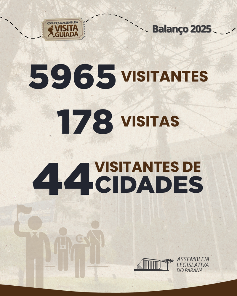 visitas 2025