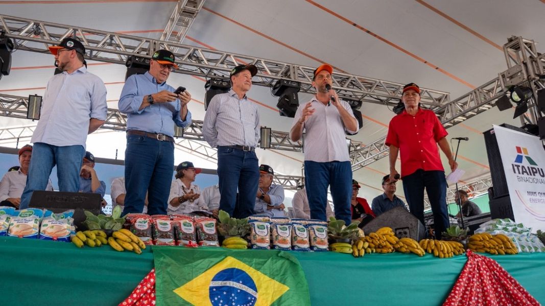 goura copacon