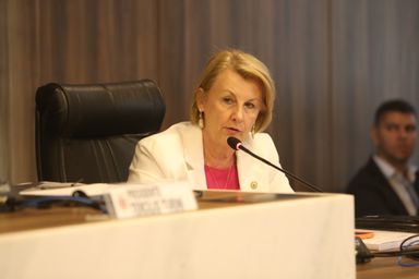 Deputada Márcia Huçulak (PSD) alerta para problema e sugere campanha para prevenir traumas em idosos