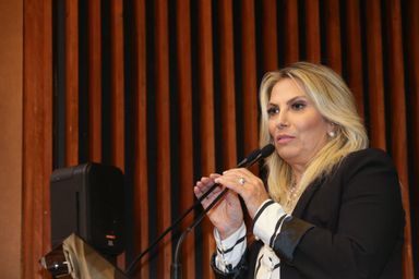 Cida Borghetti destaca importância do apoio dos deputados e anuncia investimentos de R$ 8 bilhões