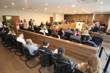 Avança na CCJ projeto que cria programa para diagnóstico precoce da síndrome de Down