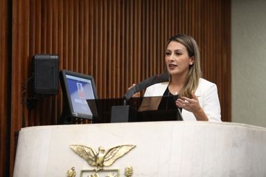 Deputados comentam volta às sessões presenciais
