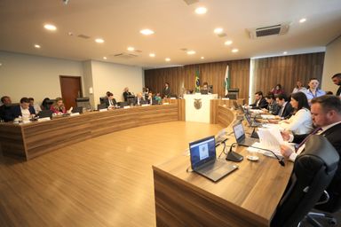 CCJ aprova proposta que muda coletores de lixo em locais públicos