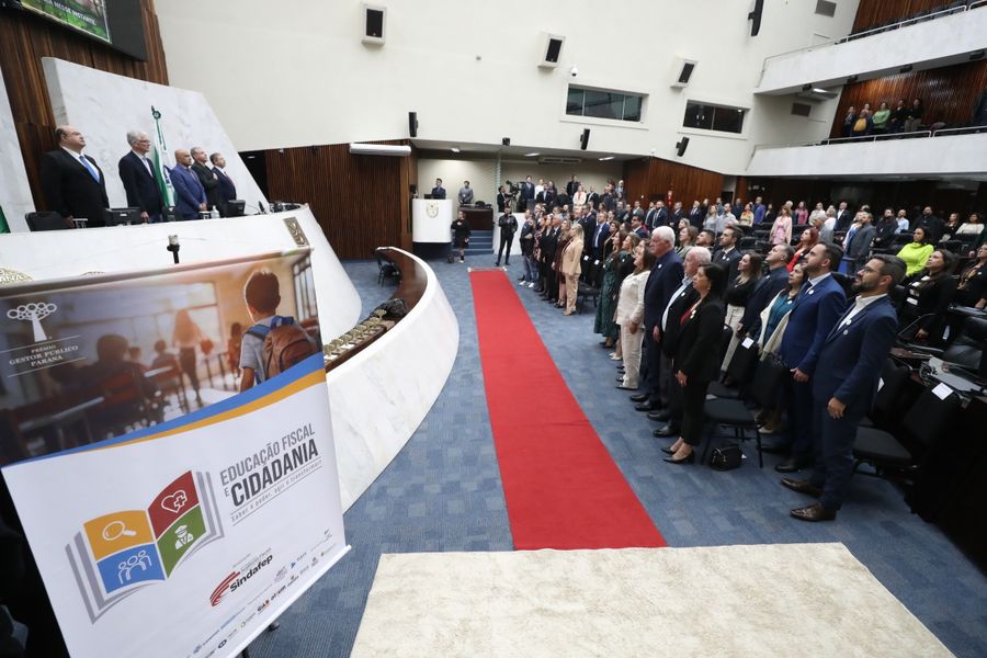 gestor publico 11102024