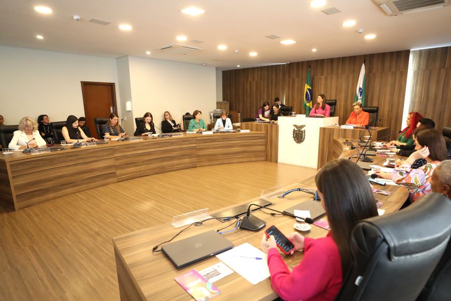 reunião bancada feminina 18062024