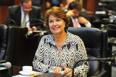 Procuradora da Mulher da Assembleia celebra aprovação do projeto que institucionaliza Sinal Vermelho no Paraná