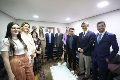 O Legislativo e o controle de constitucionalidade foram tema de palestra para os participantes do Parlamento Universitário