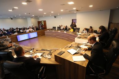 Código Estadual da Pessoa com Espectro Autista permanece sob análise da Comissão Especial
