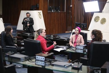 Conheça o trabalho da tatuadora Bárbara Nhiemetz que transformou dor em acolhimento