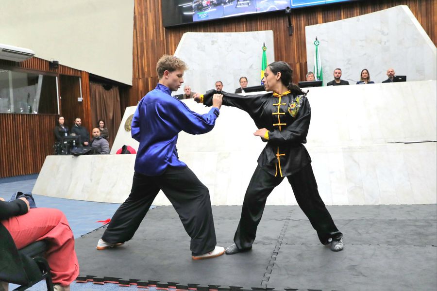Solene kung-fu