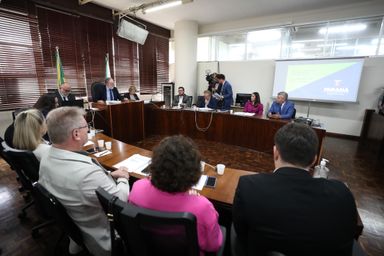 Estado ainda não atingiu o pior momento da dengue, diz SESA
