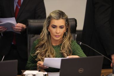 Projeto que cria o Estatuto Paranaense da Pessoa com Síndrome de Down é protocolado na Assembleia Legislativa