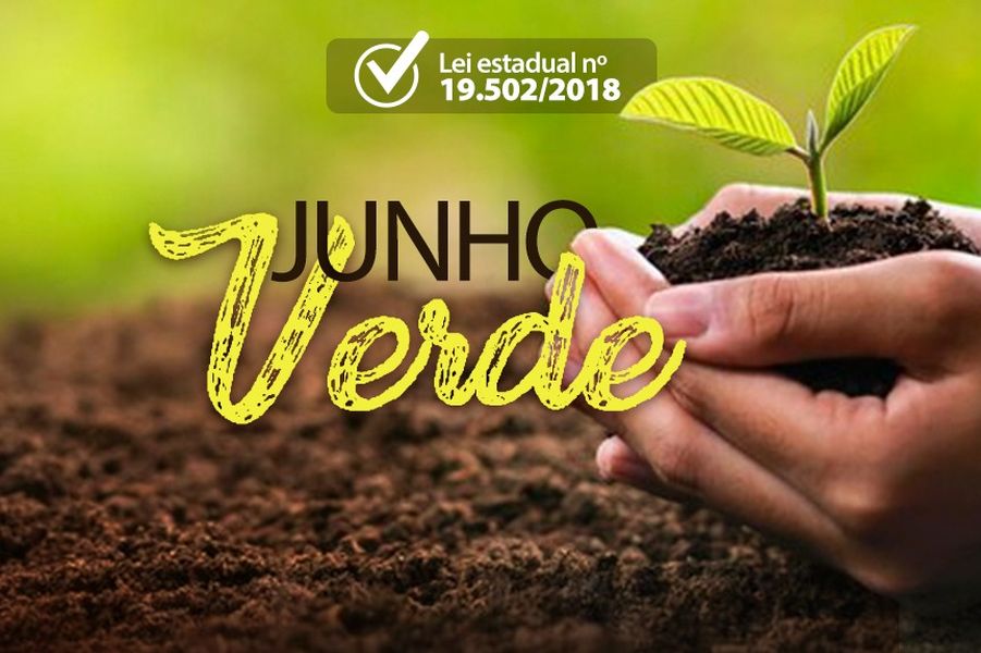 junho verde 02062023