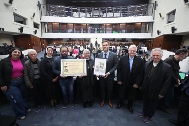 Assembleia Legislativa reconhece atuação de Irmã Anete com título de Cidadania Honorária do Paraná