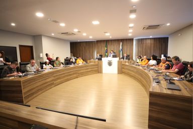 Assembleia realiza audiência pública para discutir impactos dos apagões e serviços prestados pela Copel no Paraná