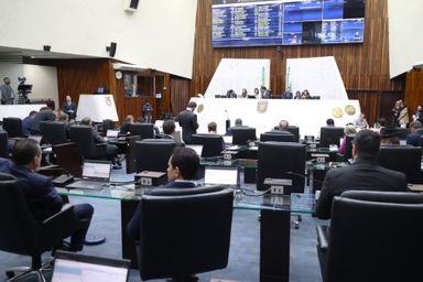 Deputados aprovam com agilidade projeto que regulamenta repasses de recursos para vítimas de tornado em Rio Bonito do Iguaçu