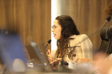 Deputada Ana Júlia (PT) questiona projeto que aumenta as custas judiciais no Paraná