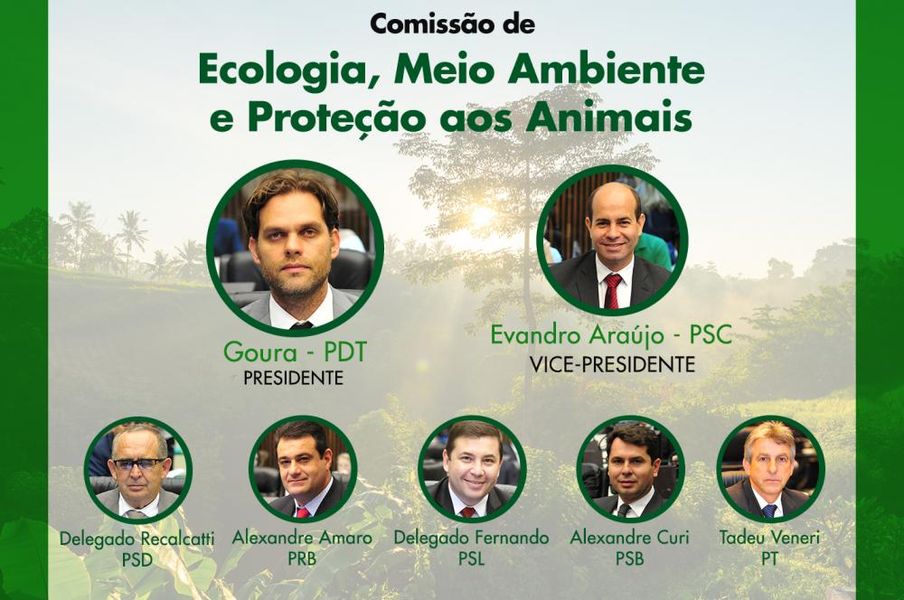 Comissão de Ecologia