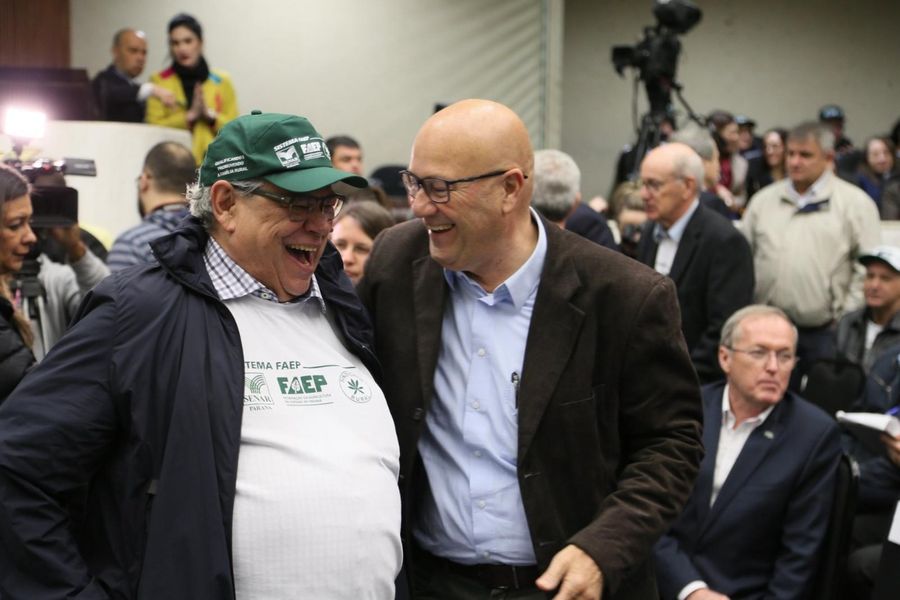 romanelli faep
