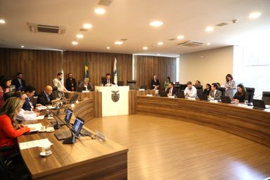 CCJ discute pacote de projetos que instituem campanhas de conscientização no Estado