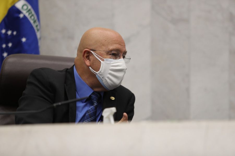 romanelli critica