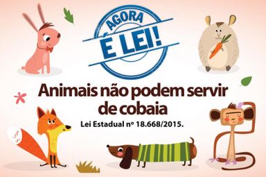 Proibição de testes com animais é lei no Paraná desde 2015