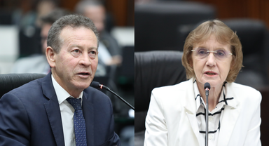 Em requerimento encaminhado à SEED, parlamentares do Bloco PT-PDT solicitam a suspensão do processo de fechamento de Escolas do Campo