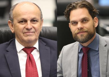 Assembleia Legislativa promove audiência pública sobre “Cannabis Medicinal no SUS”, nesta terça-feira (28)