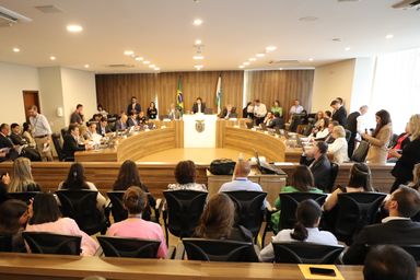 CCJ inicia a discussão de propostas do Executivo para áreas da Educação e Infância