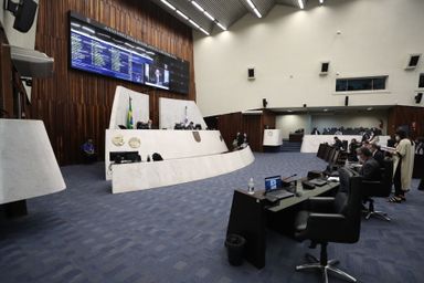 Projeto que cria a Semana de Conscientização Contra o Abandono de Animais avança na Assembleia