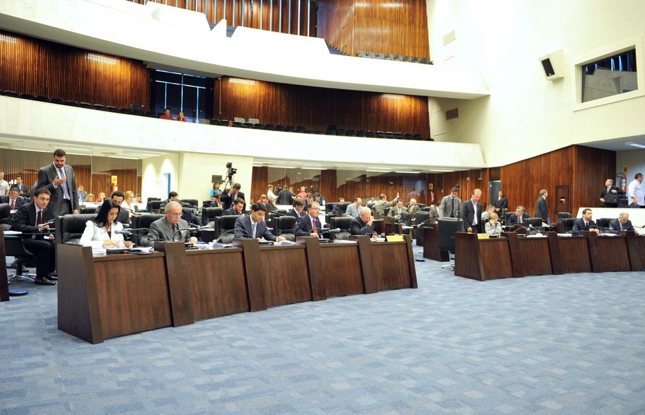 Plenário parcial